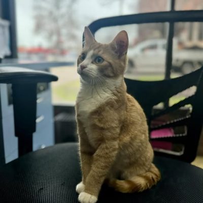 539199618_1358048736328155_2368108655672066671_n 539199618_1358048736328155_2368108655672066671_n